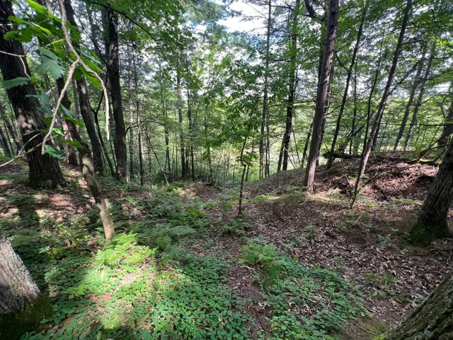 $284,900 | 8046 Moline Road, Webster, WI 54893