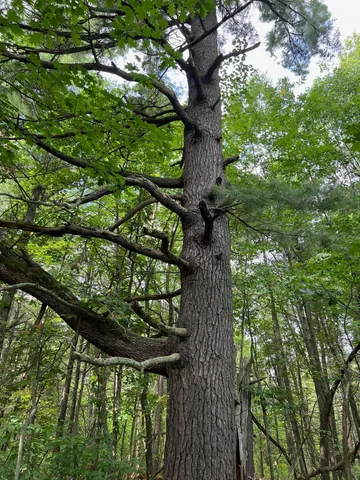 $284,900 | 8046 Moline Road, Webster, WI 54893