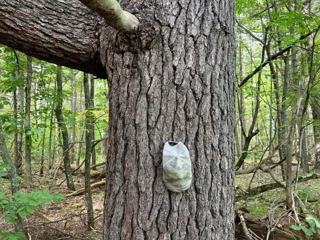 $284,900 | 8046 Moline Road, Webster, WI 54893