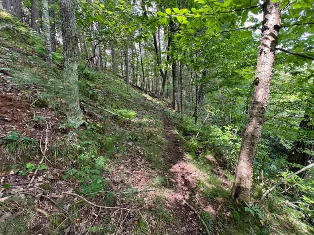 $284,900 | 8046 Moline Road, Webster, WI 54893