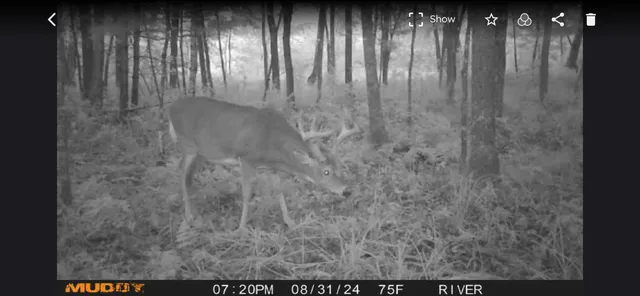 $284,900 | 8046 Moline Road, Webster, WI 54893