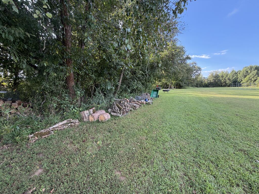 Lot4 A Jarrett Road Hayesville, NC 28904 - Photo 8 of 11 Gallery Image 8