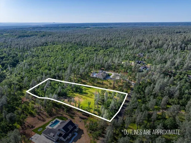 a view of a yard with a forest
