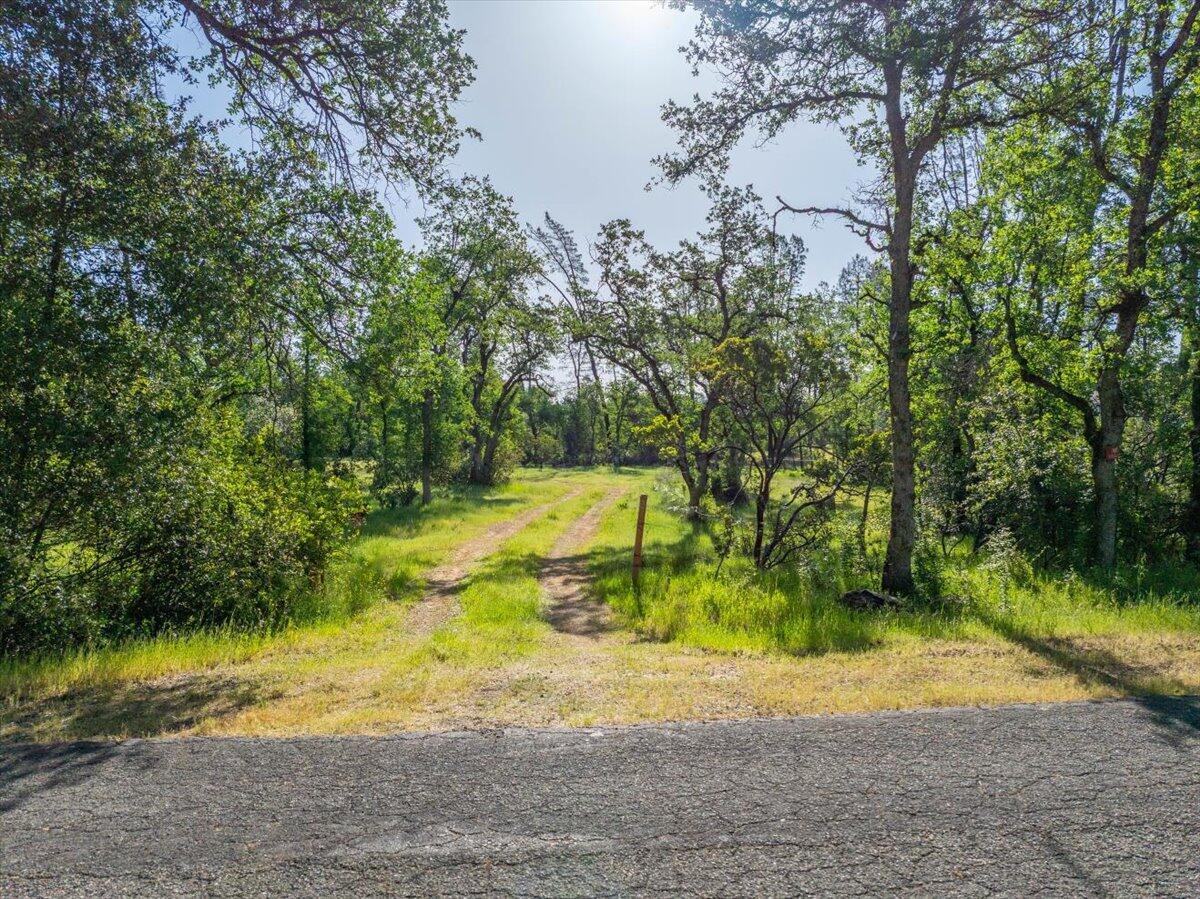 3 Silver King Road Redding, CA 96001 - Photo 2 of 13 a view of swimming pool with a yard