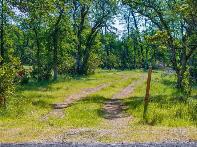 a view of a yard with an outdoor space