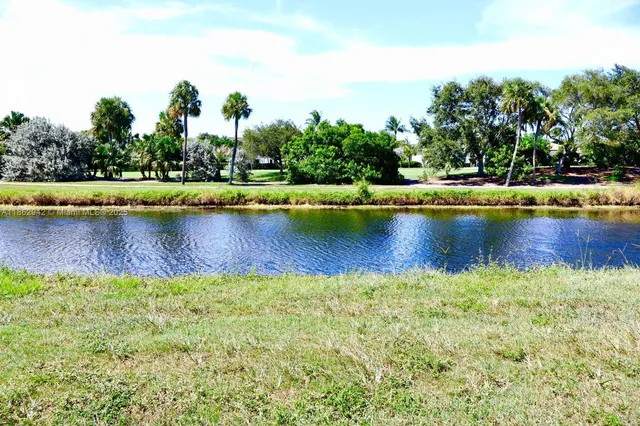 a view of a swimming pool with a yard and palm trees