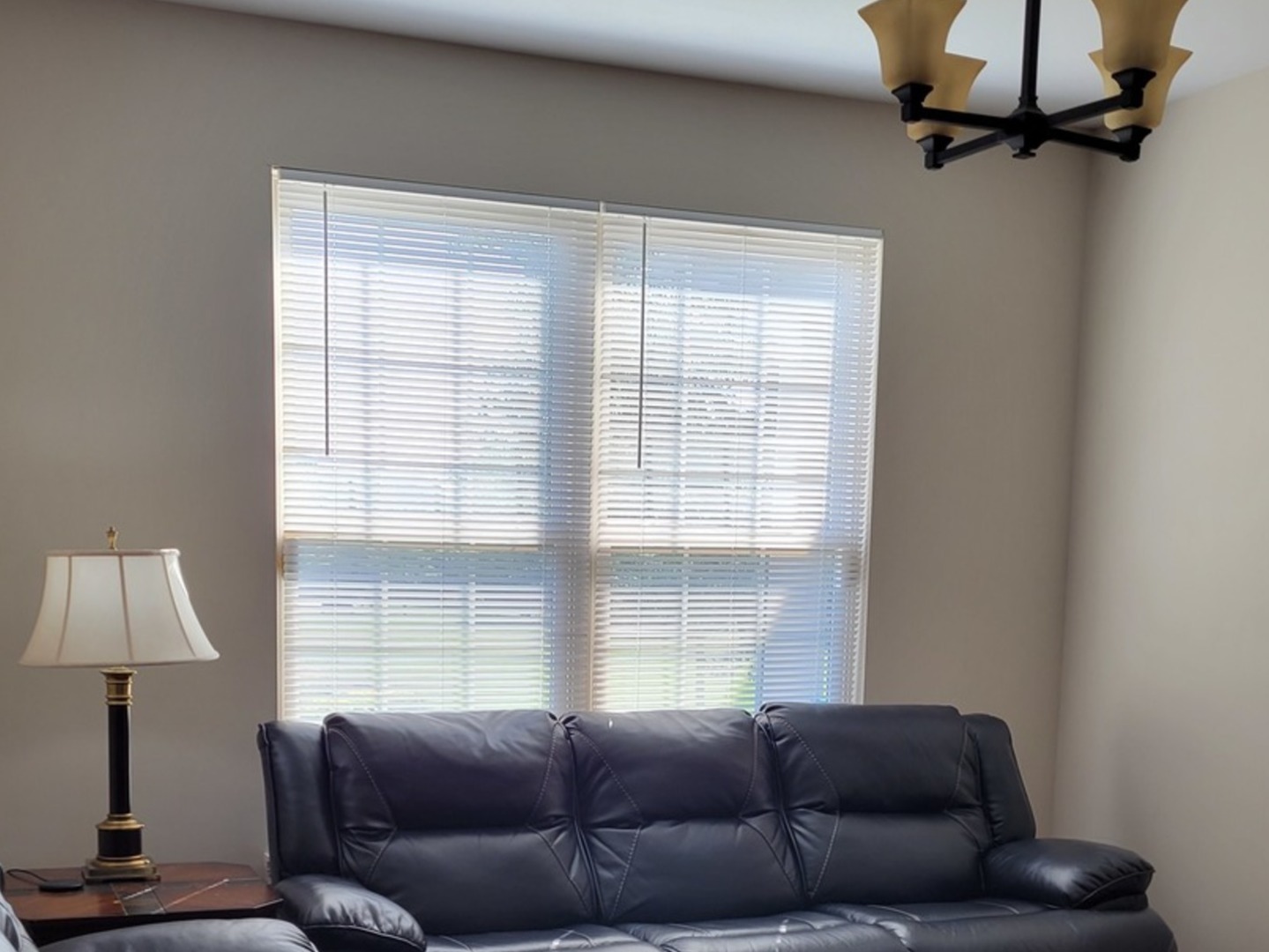 2475 Waterbury Lane Buffalo Grove, IL 60089 - Photo 10 of 19 a living room with furniture and a window