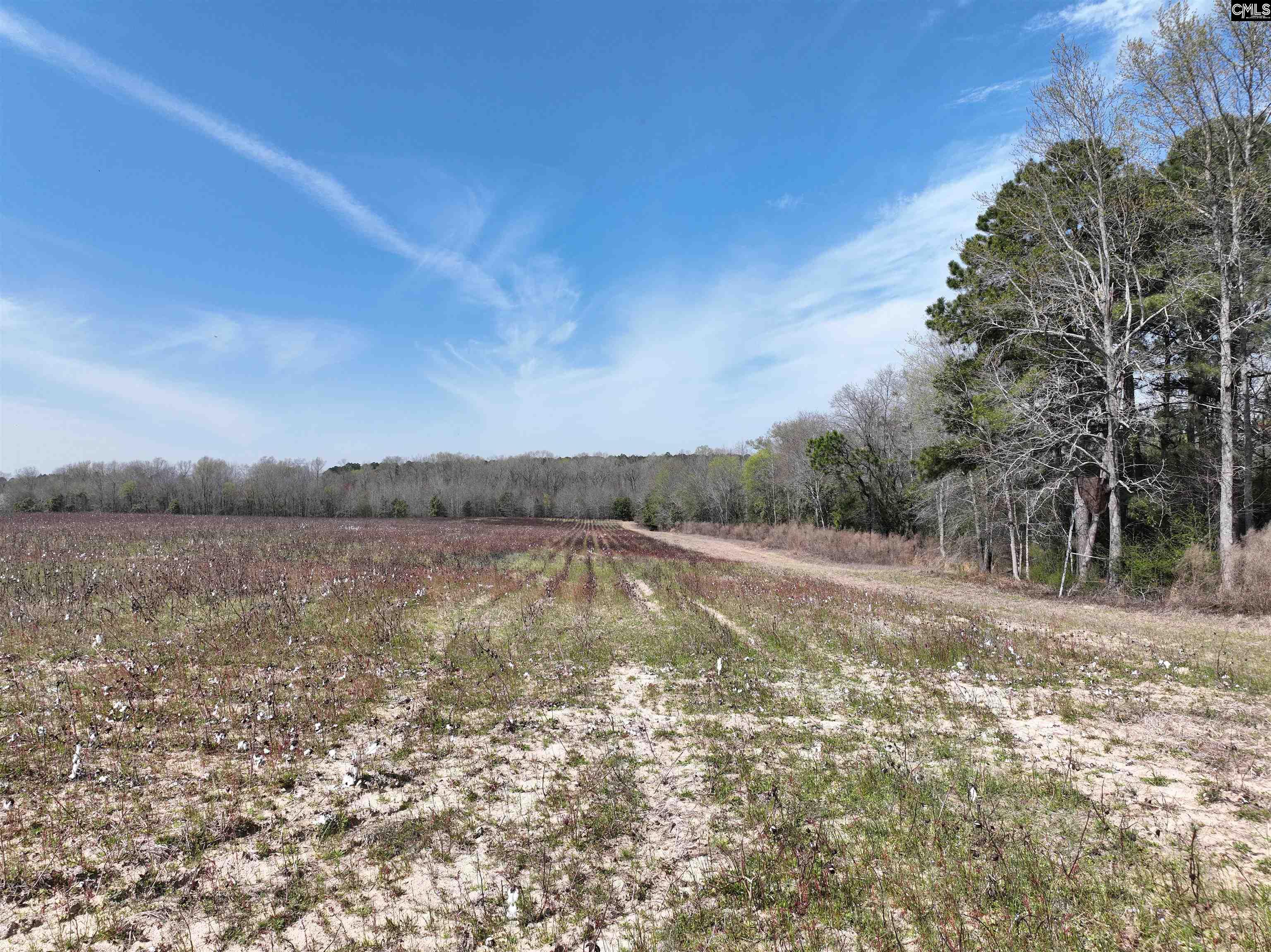 0 Dr Boylston Road Salley, SC 29137 - Photo 39 of 41