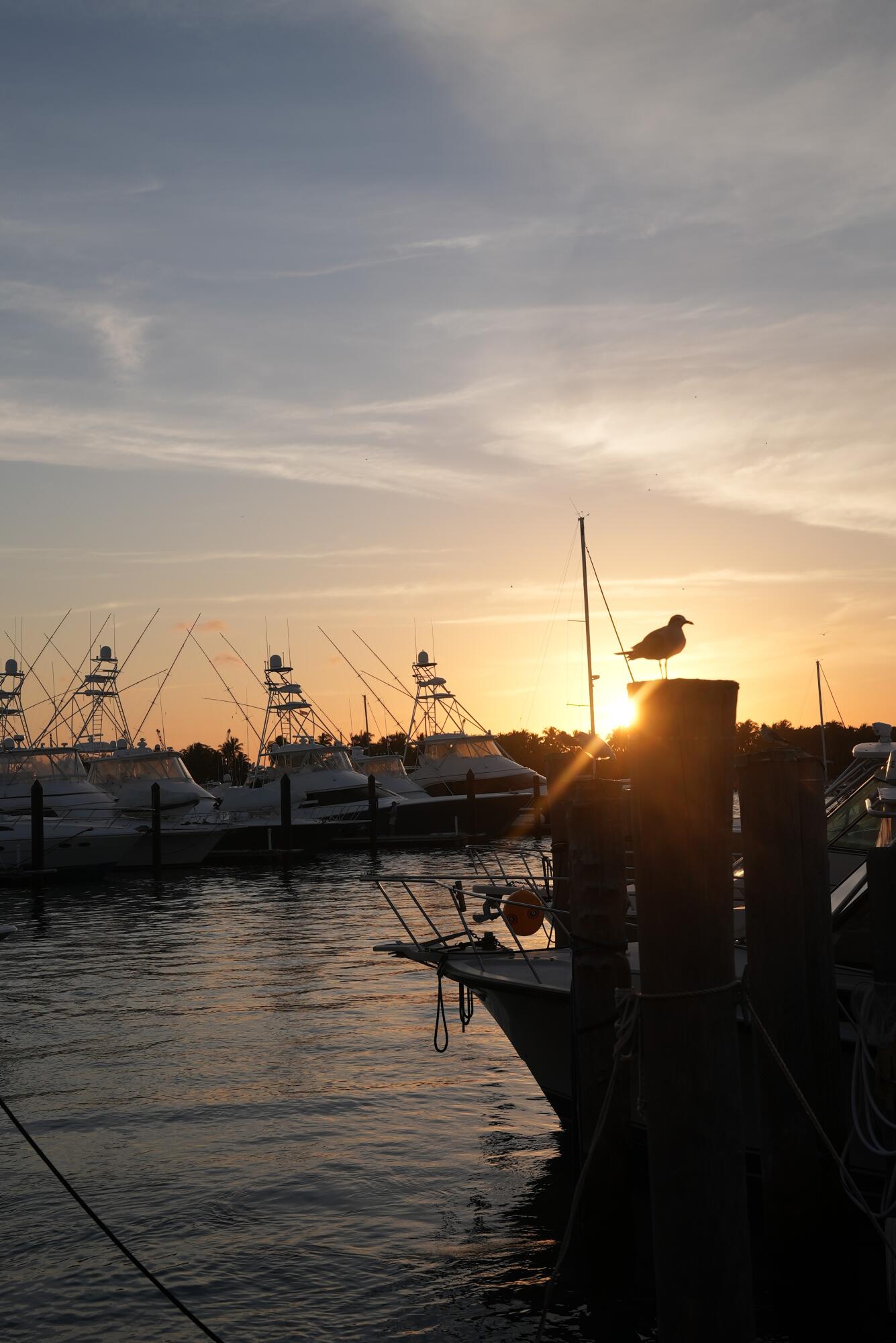 176-184 Lake Drive, Unit 4102 Palm Beach Shores, FL 33404 - Photo 20 of 26 Havn New Yacht Club at Sunset