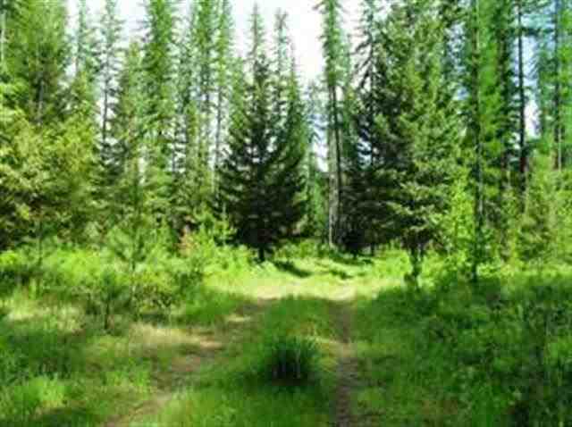Xxx Springdale-Hunters Road Springdale, WA 99173 - Photo 11 of 19