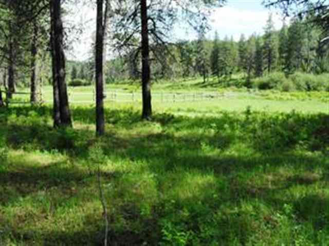 Xxx Springdale-Hunters Road Springdale, WA 99173 - Photo 12 of 19