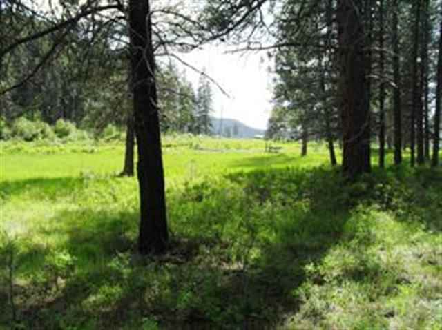 Xxx Springdale-Hunters Road Springdale, WA 99173 - Photo 4 of 19