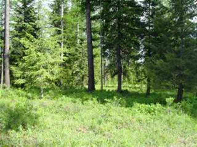 Xxx Springdale-Hunters Road Springdale, WA 99173 - Photo 10 of 19