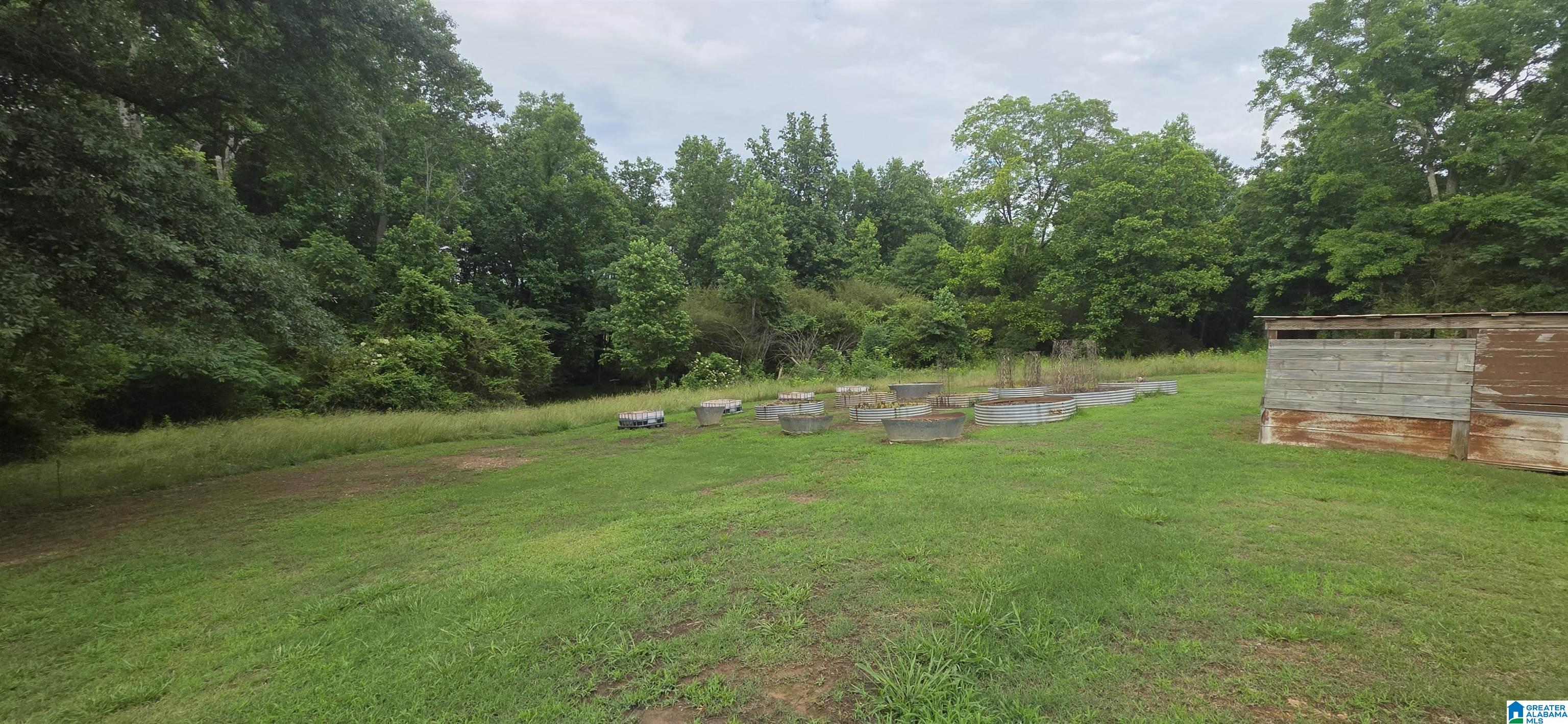 18341 Highway 46 Ranburne, AL 36273 - Photo 14 of 47