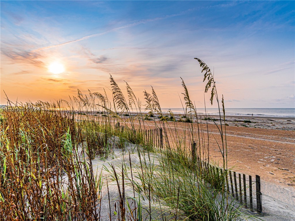 8 Surf Scoter Road Hilton Head Island, SC 29928 - Photo 76 of 76