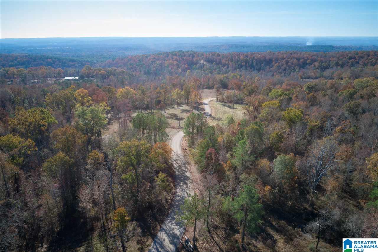 5721 South Shades Crest Road, Unit 1 Helena, AL 35022 - Photo 8 of 9