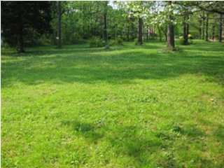 8010 Standifer Gap Road Chattanooga, TN 37421 - Photo 4 of 8 Additional Photo