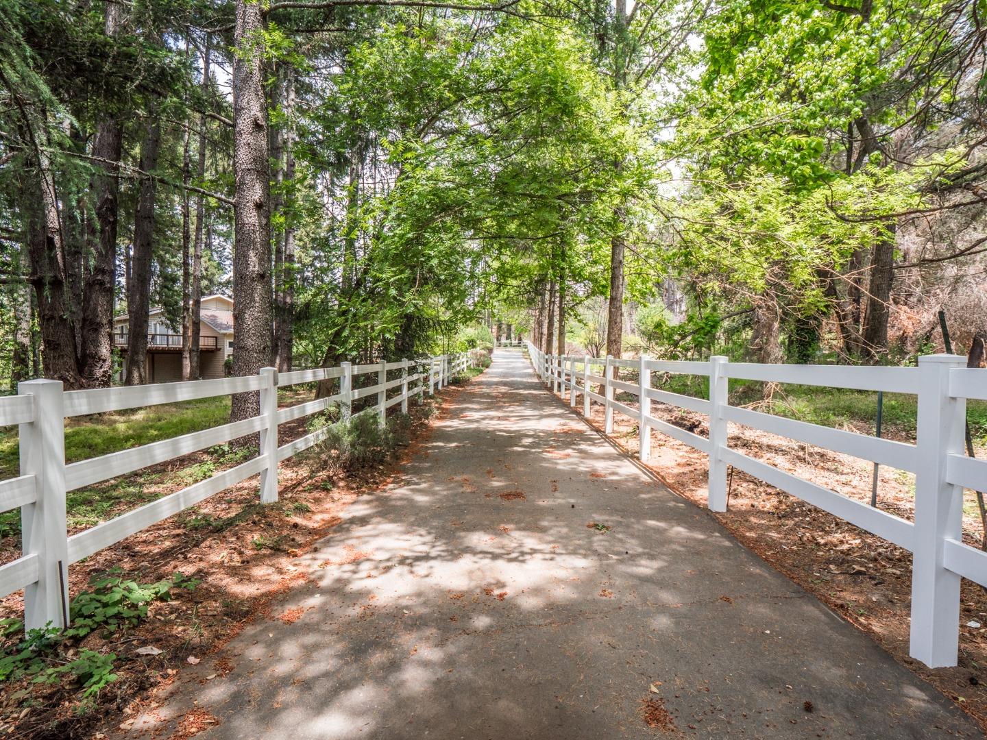 12445 Alba Road Ben Lomond, CA 95005 - Photo 35 of 37 a view of a bench with wooden fence