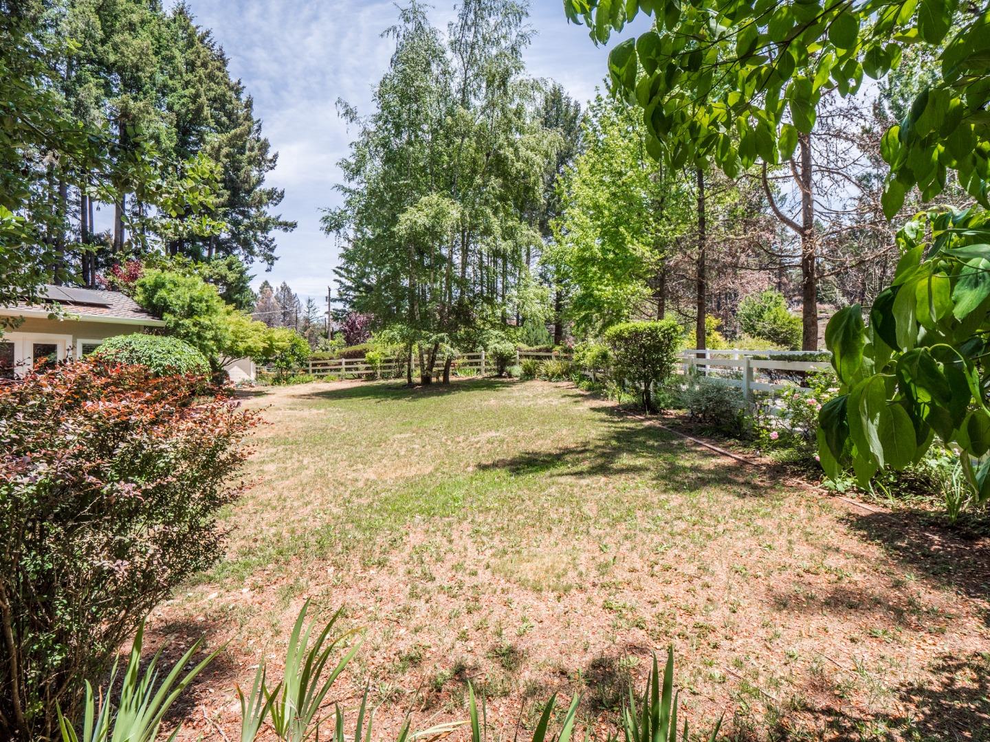 12445 Alba Road Ben Lomond, CA 95005 - Photo 36 of 37 a view of a yard with plants and trees