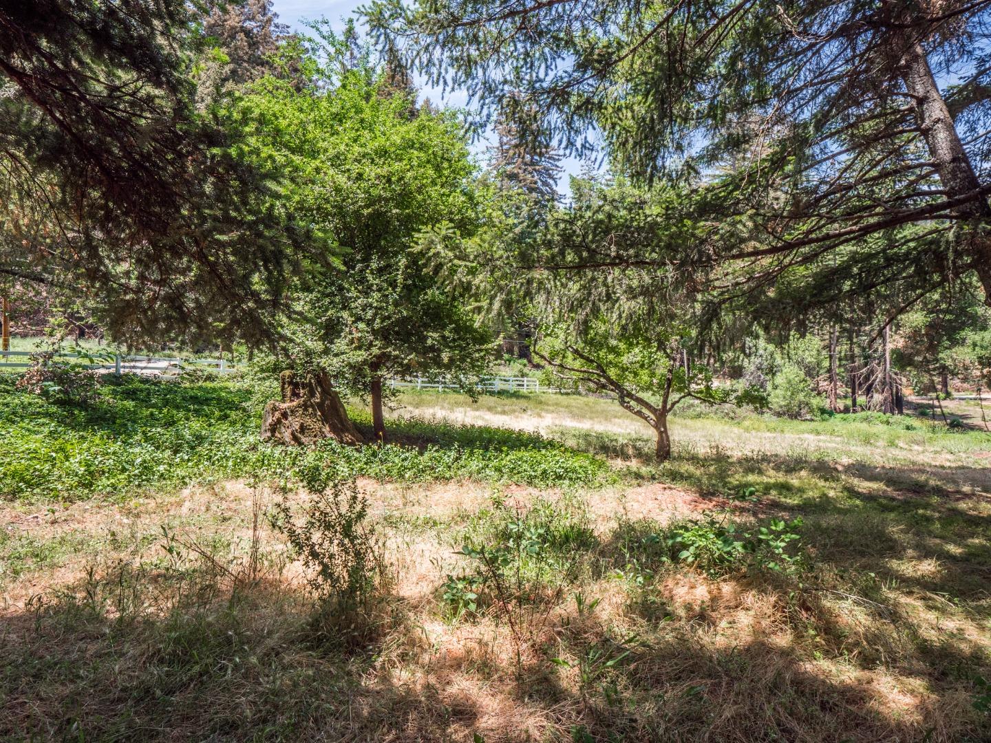 12445 Alba Road Ben Lomond, CA 95005 - Photo 37 of 37 a view of yard with green space