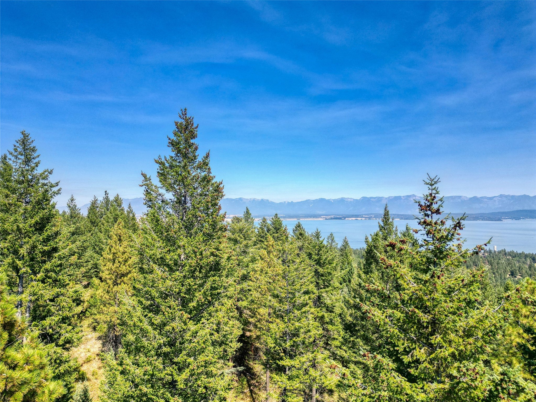 535 Bear Mountain Road Lakeside, MT 59922 - Photo 21 of 39 Gallery Image 21
