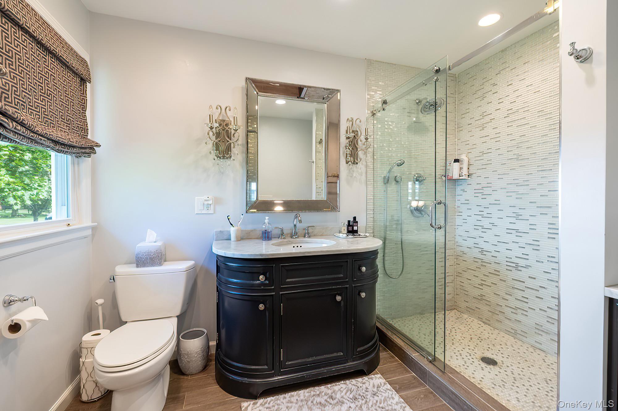 53 Country Ridge Drive Rye Brook, NY 10573 - Photo 19 of 50 a bathroom with a sink toilet and shower