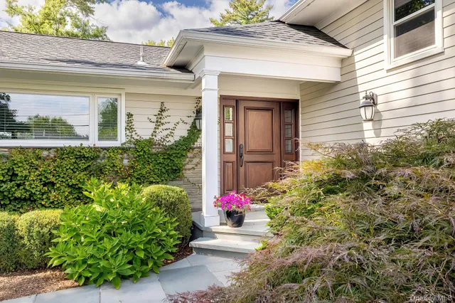 a view of a potted plants in front of a house