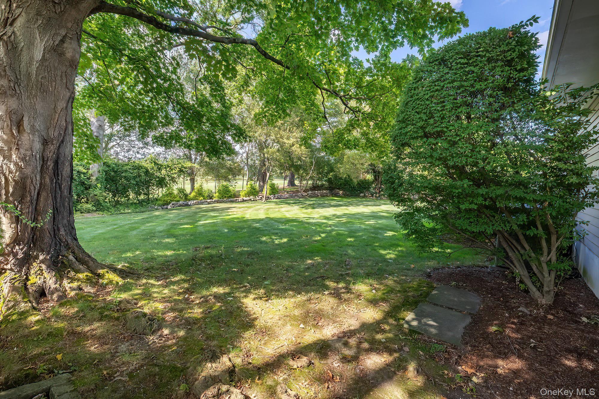 53 Country Ridge Drive Rye Brook, NY 10573 - Photo 44 of 50 a view of a trees with a yard