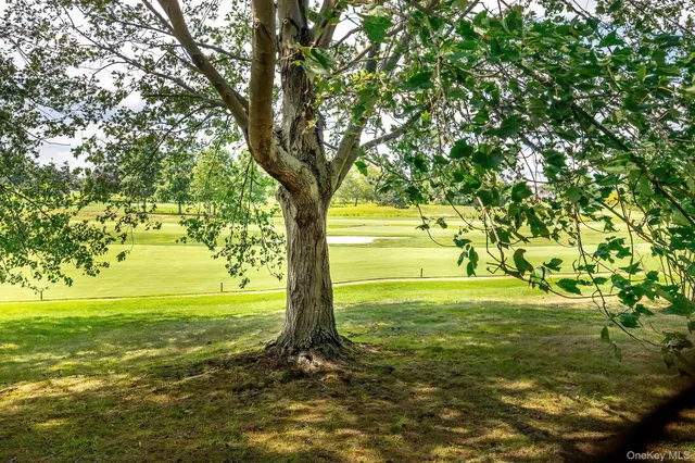 a view of a yard with an outdoor space