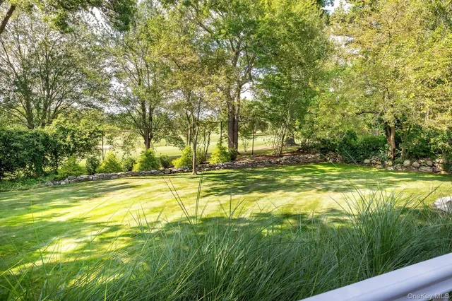 a view of a large yard with large trees