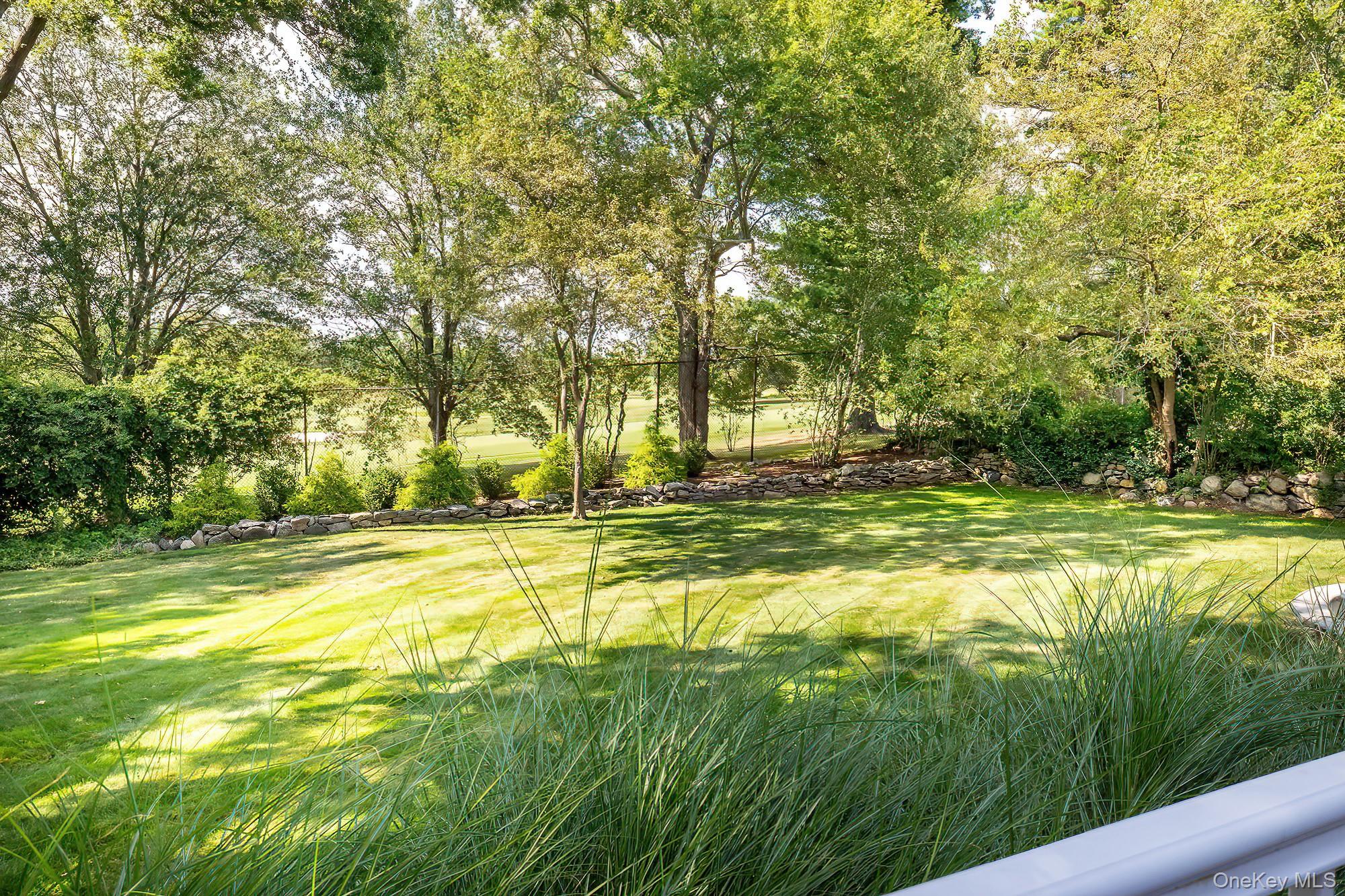 53 Country Ridge Drive Rye Brook, NY 10573 - Photo 46 of 50 a view of a large yard with large trees