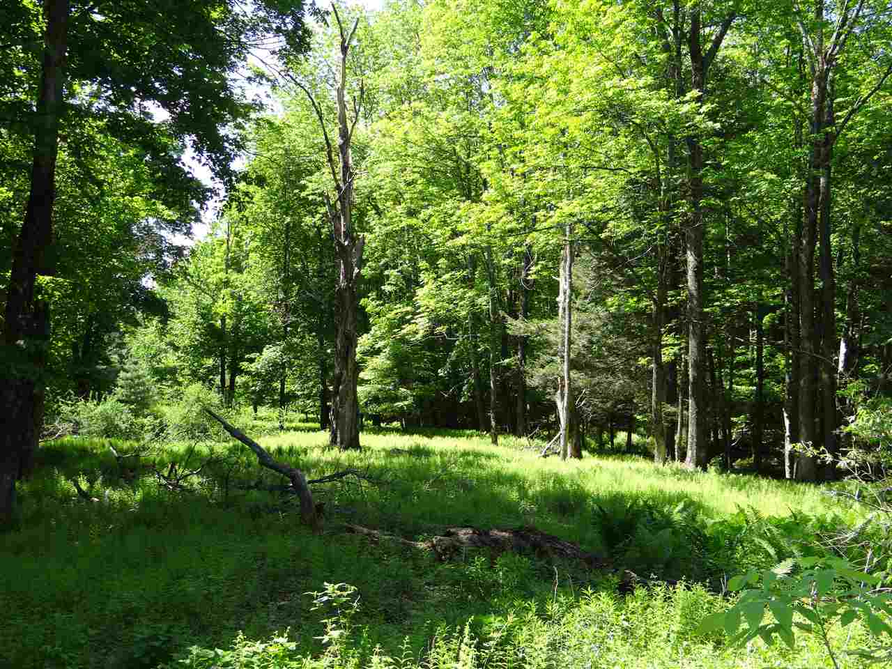 0 Hathaway Road White River Junction, VT 05001 - Photo 1 of 5 Gallery Image 1