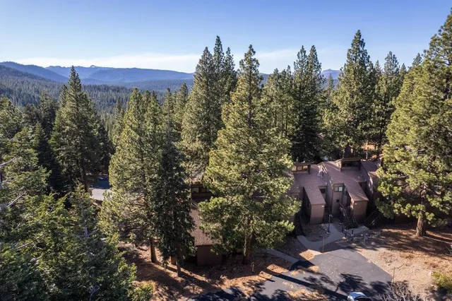 a view of a city with lush green forest