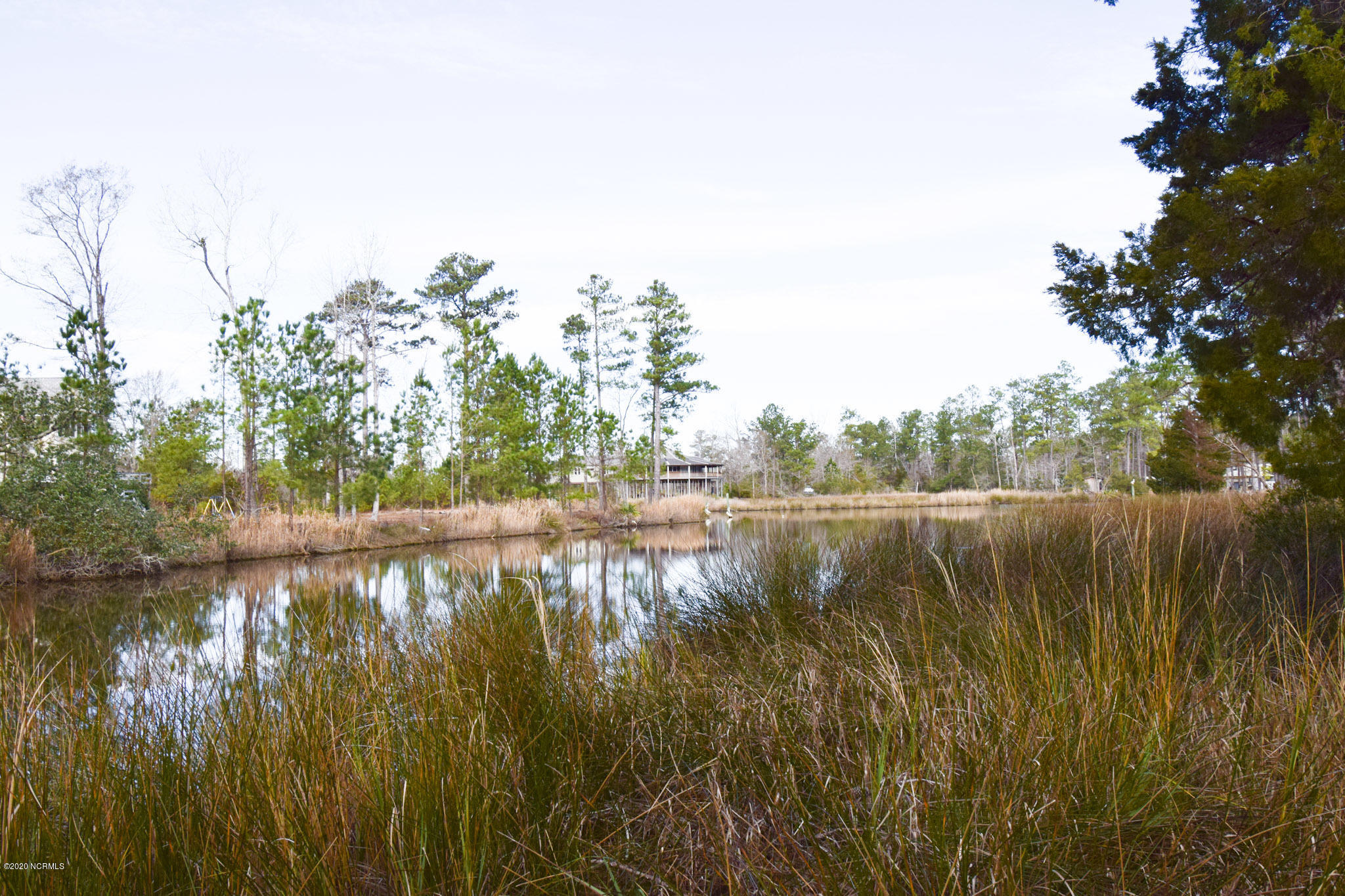 159 Dogwood Landing Road Merritt, NC 28556 - Photo 2 of 6 Beautiful Waterfront Lot
