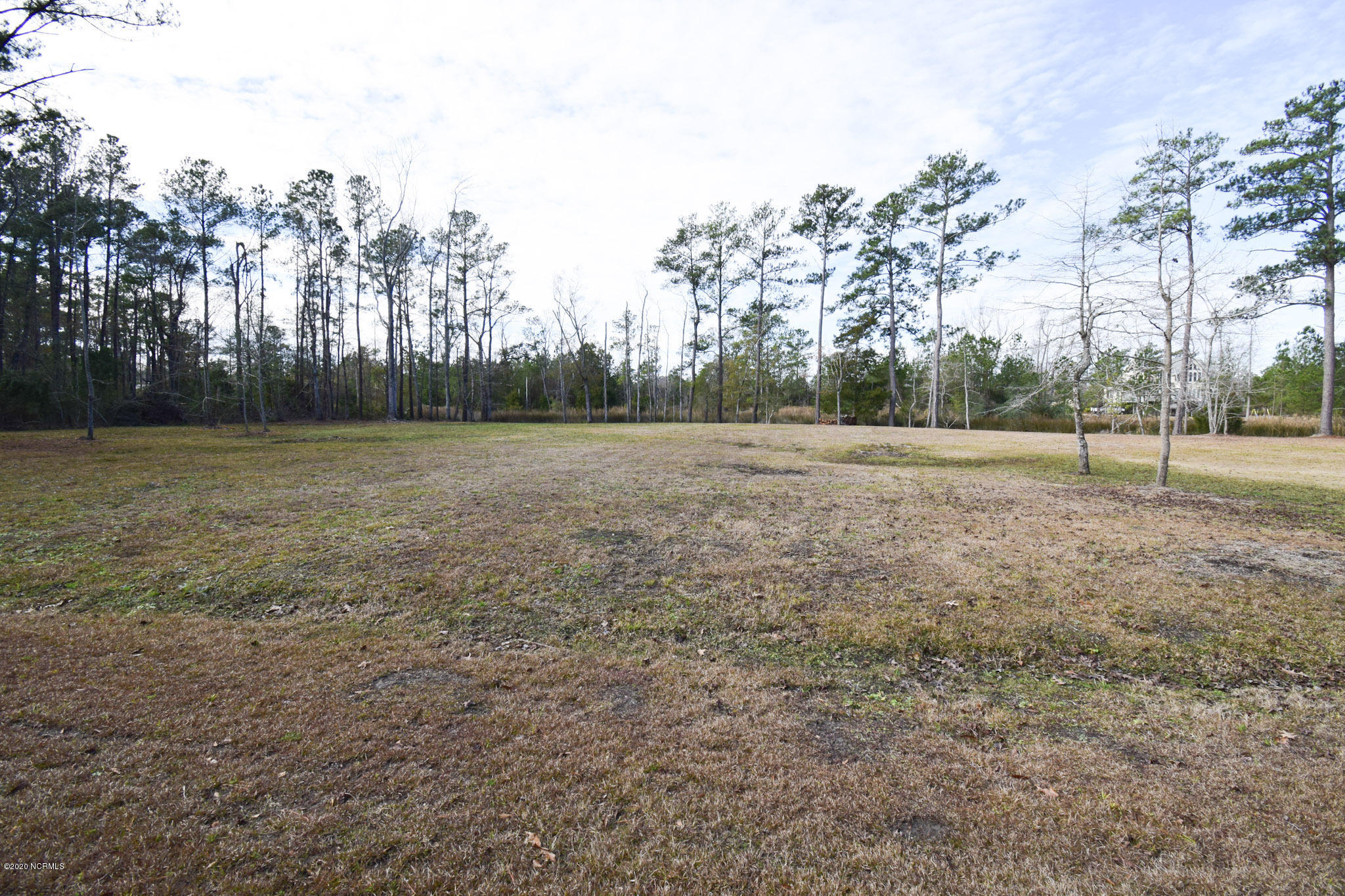159 Dogwood Landing Road Merritt, NC 28556 - Photo 3 of 6 0.87 Acres Wide Open