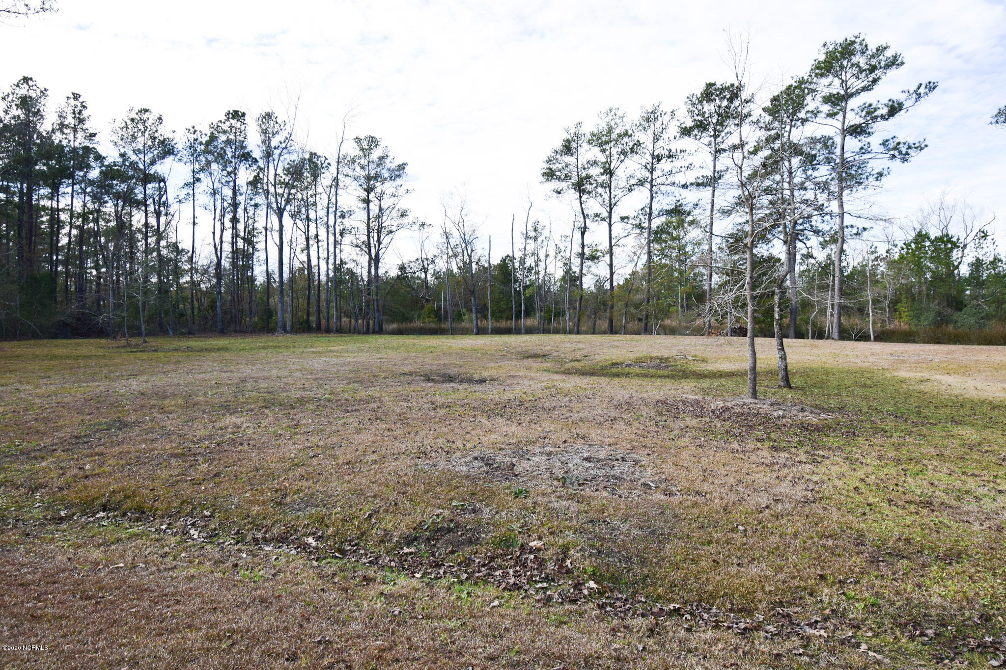 159 Dogwood Landing Road Merritt, NC 28556 - Photo 4 of 6 Perfect Lot For Your Dream Home!