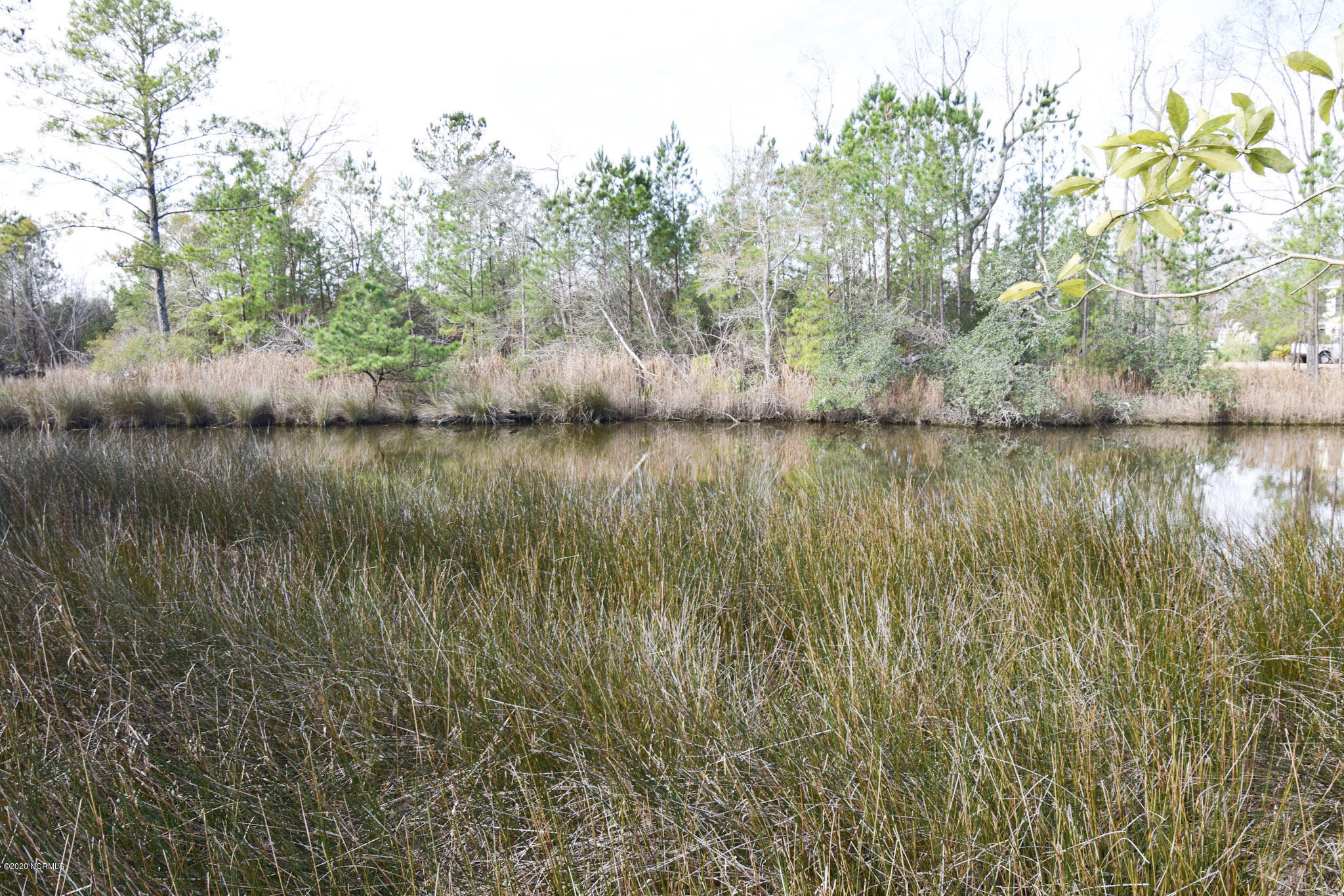 159 Dogwood Landing Road Merritt, NC 28556 - Photo 5 of 6 0.87 Acre Waterfront Lot