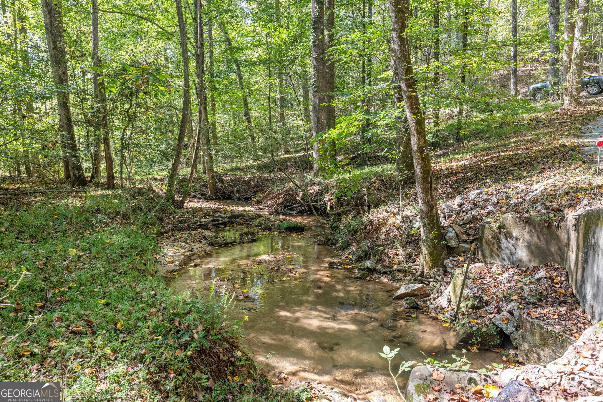 205 Whitewater Road Demorest, GA 30535 - Photo 5 of 27