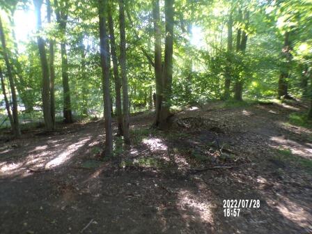 5025 Inner Loop Drive Custer, MI 49405 - Photo 22 of 31 100_0063