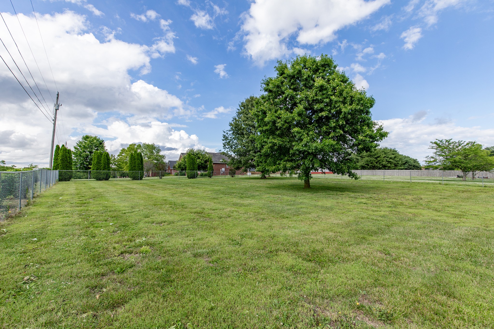 443 Clearview Road Cottontown, TN 37048 - Photo 19 of 21 a view of a green field with trees