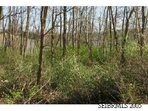 0 Sr 156 Vevay, IN 47043 - Photo 1 of 1