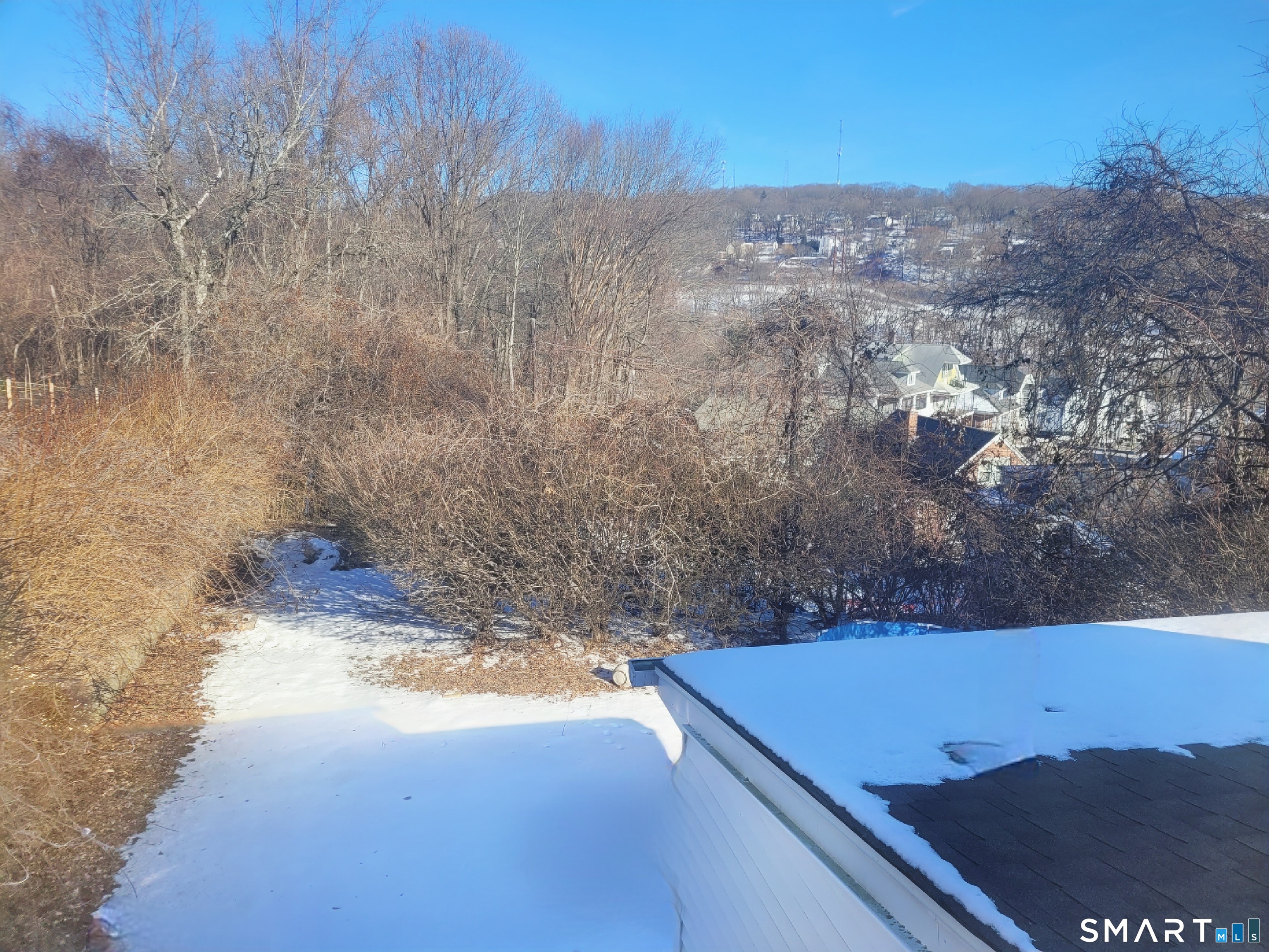 96 Tudor Street Waterbury, CT 06704 - Photo 15 of 15 a view of a yard with a forest