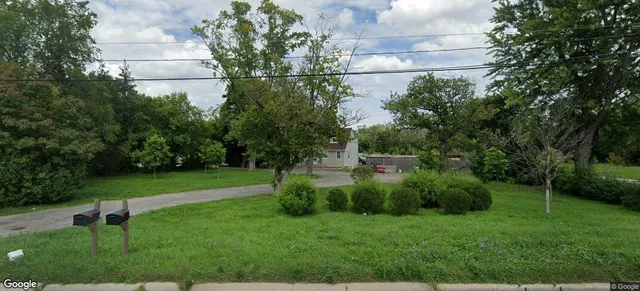 a view of a field with a tree