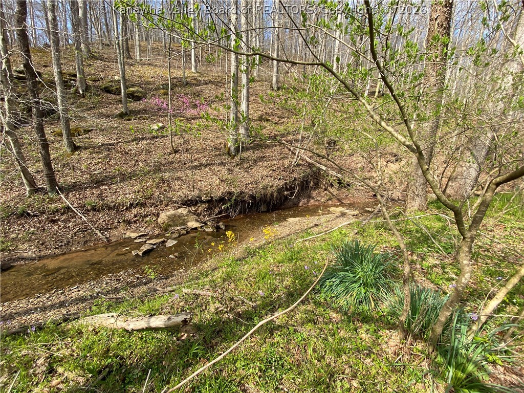 0 2nd Creek Road Kenna, WV 25248 - Photo 22 of 47 Gallery Image 22