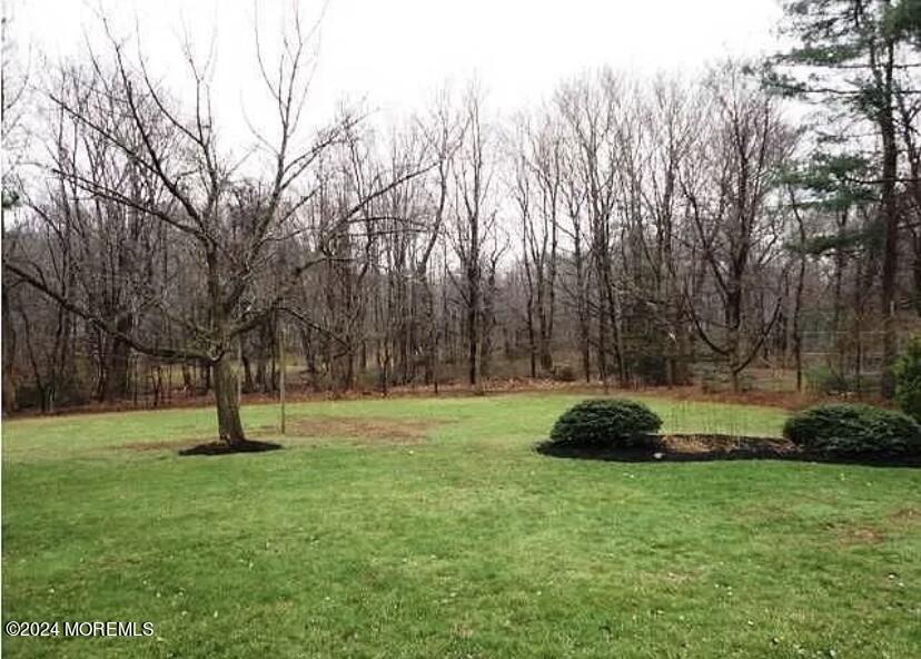53 Lone Oak Road Middletown, NJ 07748 - Photo 8 of 12 IMG_7907