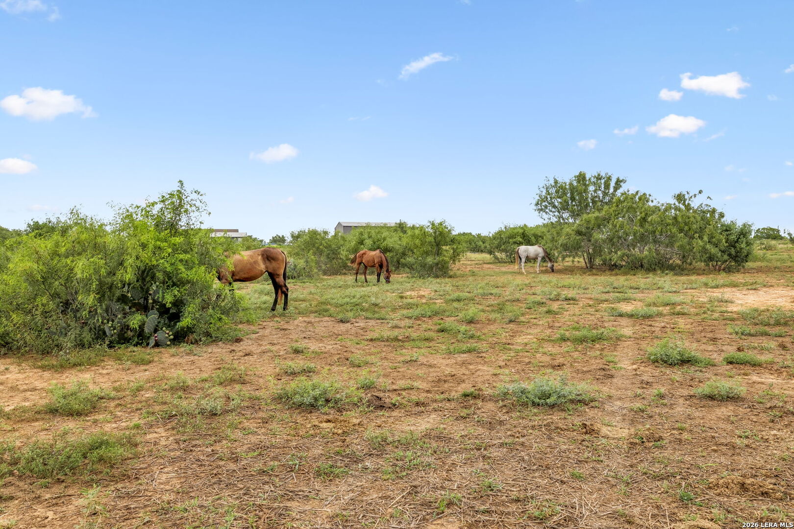 3285 Pittman Road St. Hedwig, TX 78152 - Photo 8 of 36 Gallery Image 8