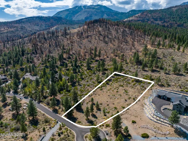 a view of a small yard