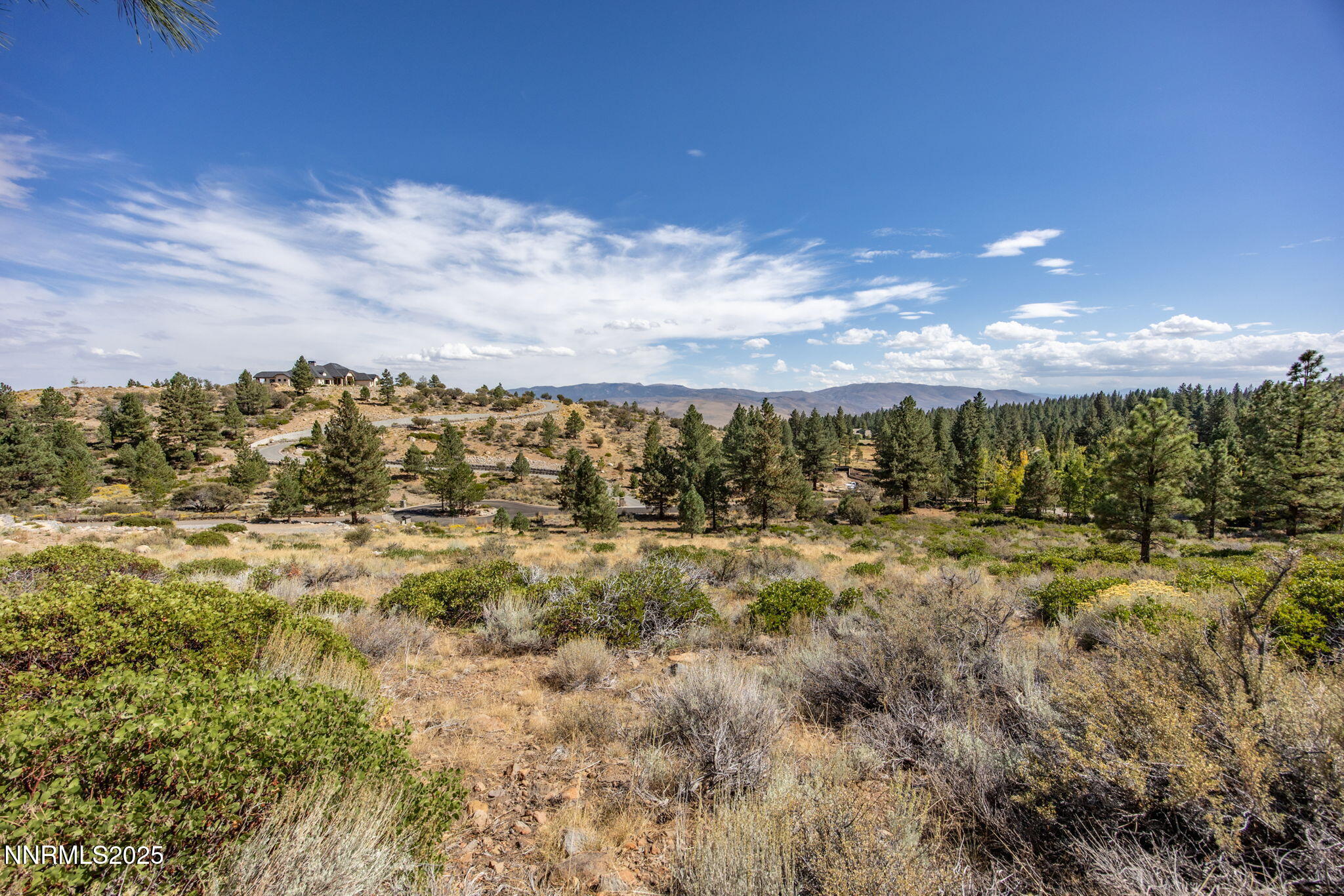 32 Bennington Court Reno, NV 89511 - Photo 27 of 29 a view of a yard with an outdoor space