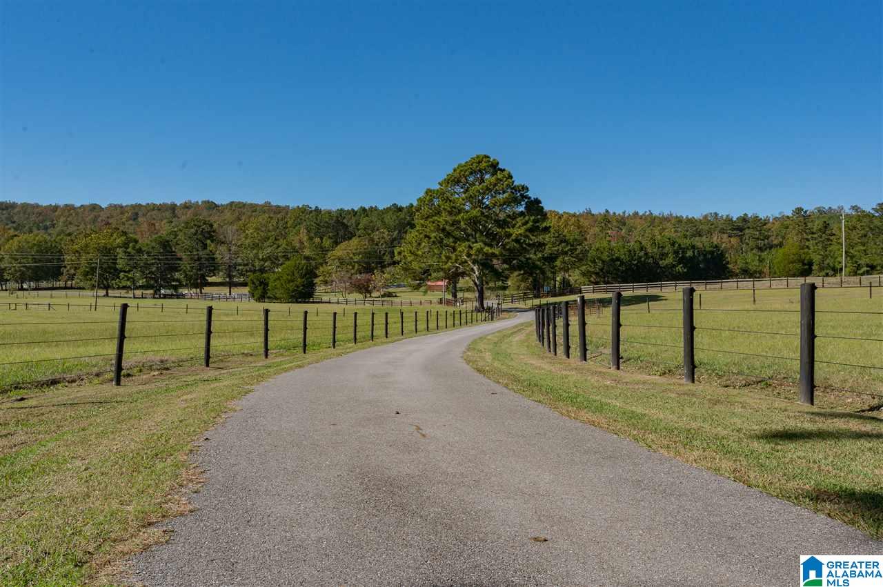 1300 Slasham Road Ashville, AL 35953 - Photo 36 of 50
