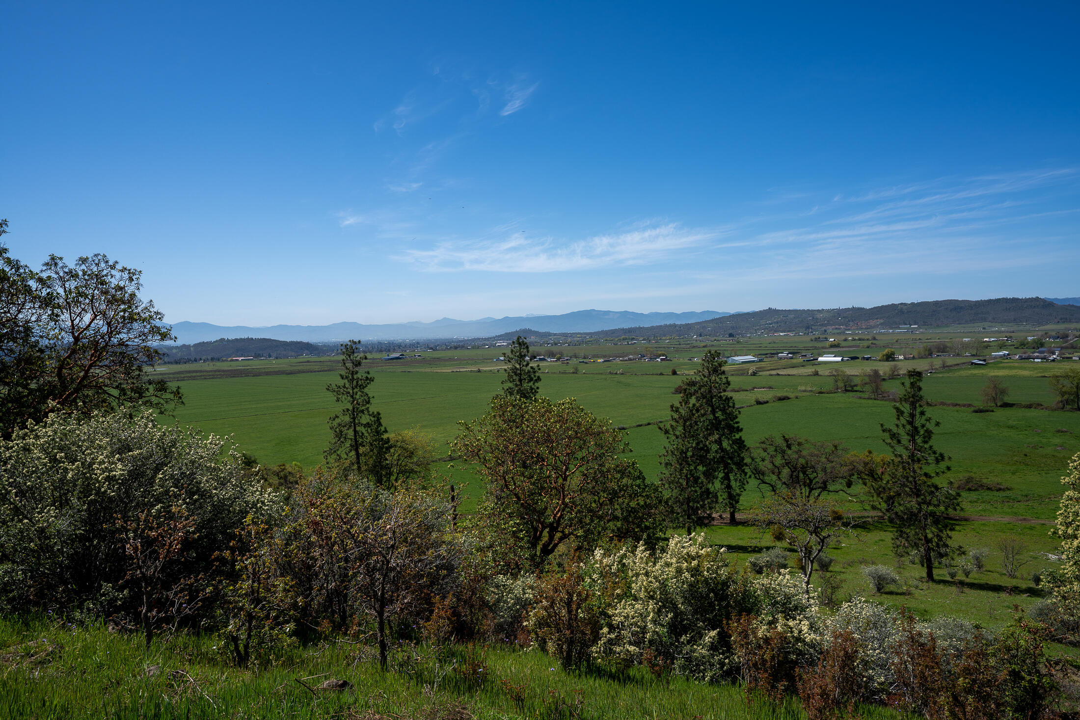 1881 Brophy Road Eagle Point, OR 97524 - Photo 101 of 130 100D